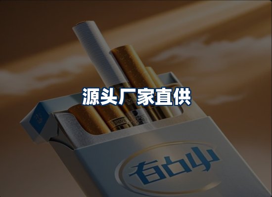 专业团队办公环境